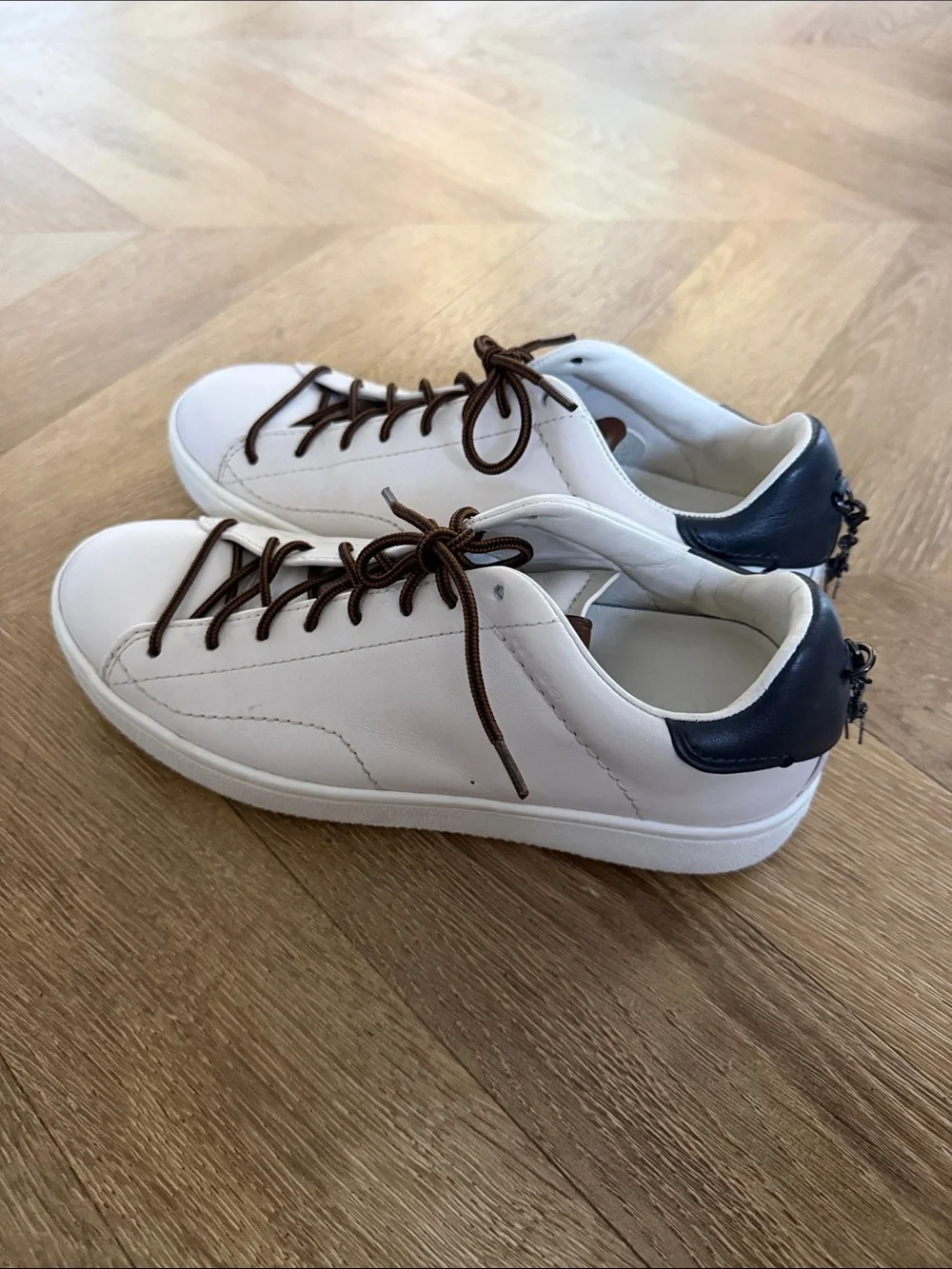 Coach low top sneakers